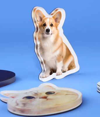 좋은 가격 HAPPY GIFT 맞춤 제작 반려동물 디자인 아크릴 냉장고 자석 귀여운 애니메이션 맞춤 제작 홀로그램 플라스틱 스티커 온라인으로
